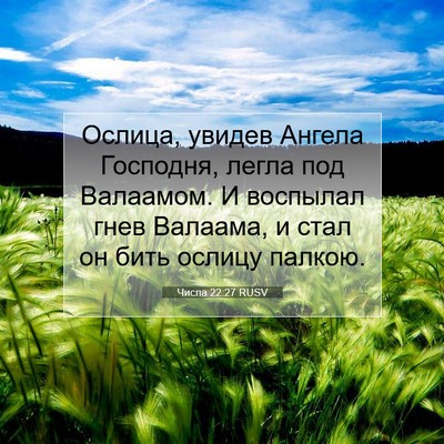 Picture 07 - Числа 22:27 RUSV - Ослица, увидев Ангела - Bible Verse Picture