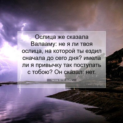 Picture 07 - Числа 22:30 RUSV - Ослица же сказала Валааму: - Bible Verse Picture