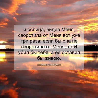 Picture 07 - Числа 22:33 RUSV - и ослица, видев Меня, - Bible Verse Picture