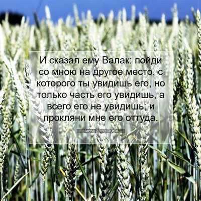 Picture 07 - Числа 23:13 RUSV - И сказал ему Валак: пойди - Bible Verse Picture