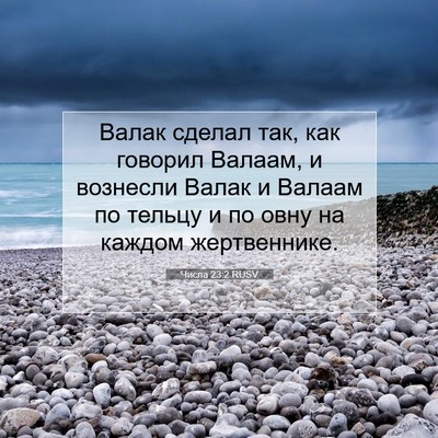 Picture 07 - Числа 23:2 RUSV - Валак сделал так, как - Bible Verse Picture