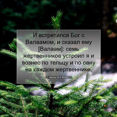 Picture 07 - Числа 23:4 RUSV - И встретился Бог с - Bible Verse Picture