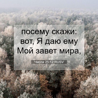 Picture 07 - Числа 25:12 RUSV - посему скажи: вот, Я даю ему - Bible Verse Picture