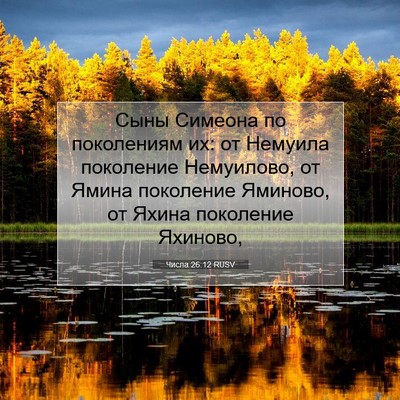 Picture 07 - Числа 26:12 RUSV - Сыны Симеона по поколениям - Bible Verse Picture