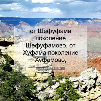 Picture 07 - Числа 26:39 RUSV - от Шефуфама поколение - Bible Verse Picture