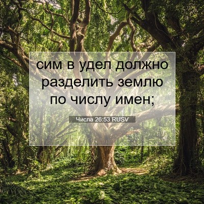 Picture 07 - Числа 26:53 RUSV - сим в удел должно - Bible Verse Picture