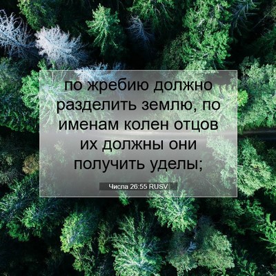 Picture 07 - Числа 26:55 RUSV - по жребию должно разделить - Bible Verse Picture