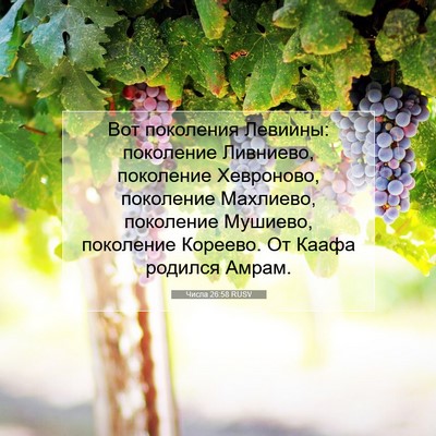 Picture 07 - Числа 26:58 RUSV - Вот поколения Левиины: - Bible Verse Picture
