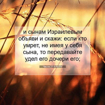 Picture 07 - Числа 27:8 RUSV - и сынам Израилевым объяви - Bible Verse Picture