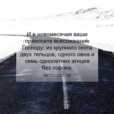 Picture 07 - Числа 28:11 RUSV - И в новомесячия ваши - Bible Verse Picture