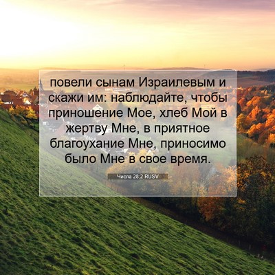 Picture 07 - Числа 28:2 RUSV - повели сынам Израилевым и - Bible Verse Picture