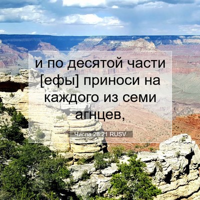 Picture 07 - Числа 28:21 RUSV - и по десятой части [ефы] - Bible Verse Picture