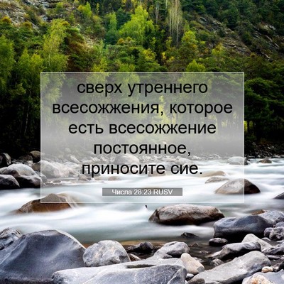 Picture 07 - Числа 28:23 RUSV - сверх утреннего - Bible Verse Picture
