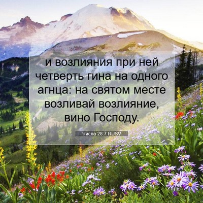 Picture 07 - Числа 28:7 RUSV - и возлияния при ней - Bible Verse Picture