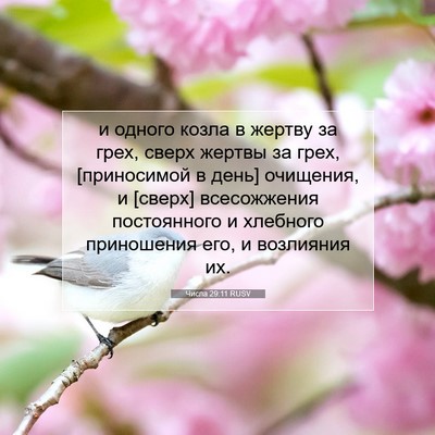 Picture 07 - Числа 29:11 RUSV - и одного козла в жертву за - Bible Verse Picture