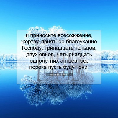 Picture 07 - Числа 29:13 RUSV - и приносите всесожжение, - Bible Verse Picture
