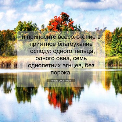 Picture 07 - Числа 29:2 RUSV - и приносите всесожжение в - Bible Verse Picture