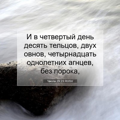 Picture 07 - Числа 29:23 RUSV - И в четвертый день десять - Bible Verse Picture
