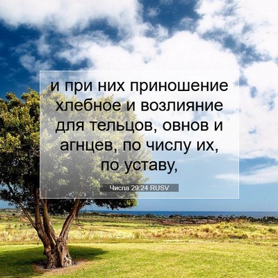 Picture 07 - Числа 29:24 RUSV - и при них приношение - Bible Verse Picture