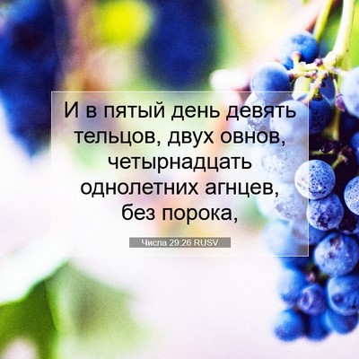 Picture 07 - Числа 29:26 RUSV - И в пятый день девять - Bible Verse Picture