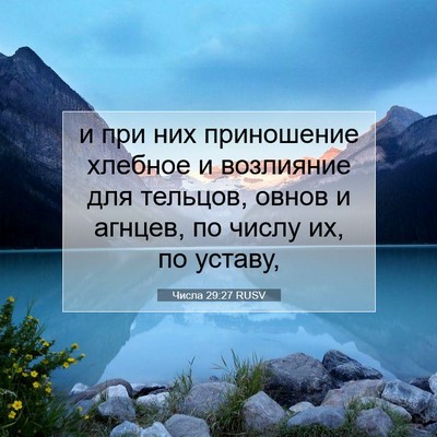 Picture 07 - Числа 29:27 RUSV - и при них приношение - Bible Verse Picture