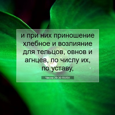 Picture 07 - Числа 29:30 RUSV - и при них приношение - Bible Verse Picture