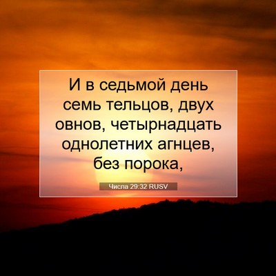 Picture 07 - Числа 29:32 RUSV - И в седьмой день семь - Bible Verse Picture