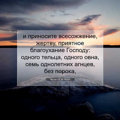 Picture 07 - Числа 29:36 RUSV - и приносите всесожжение, - Bible Verse Picture