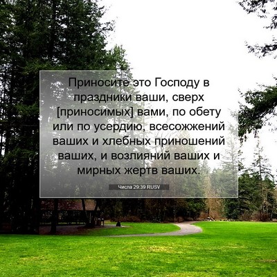 Picture 07 - Числа 29:39 RUSV - Приносите это Господу в - Bible Verse Picture