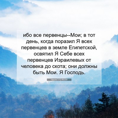 Picture 07 - Числа 3:13 RUSV - ибо все первенцы--Мои; в тот - Bible Verse Picture