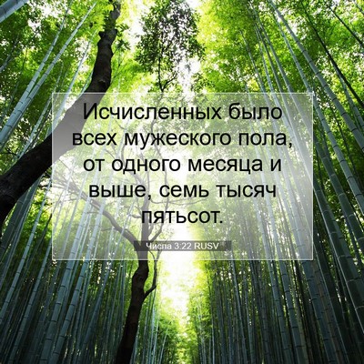 Picture 07 - Числа 3:22 RUSV - Исчисленных было всех - Bible Verse Picture