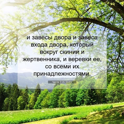 Picture 07 - Числа 3:26 RUSV - и завесы двора и завеса - Bible Verse Picture