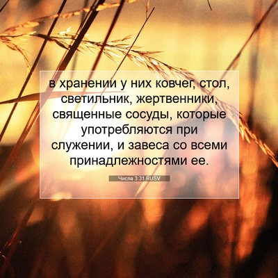 Picture 07 - Числа 3:31 RUSV - в хранении у них ковчег, - Bible Verse Picture