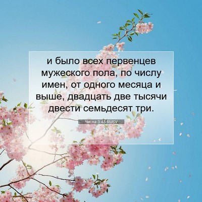 Picture 07 - Числа 3:43 RUSV - и было всех первенцев - Bible Verse Picture
