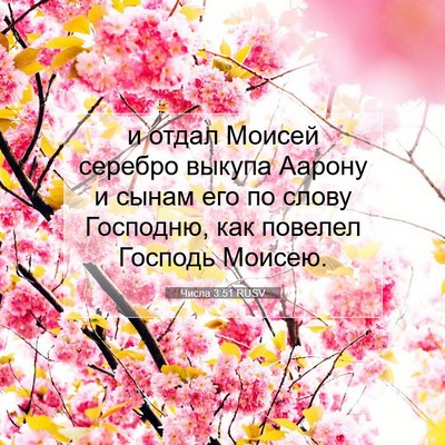 Picture 07 - Числа 3:51 RUSV - и отдал Моисей серебро - Bible Verse Picture