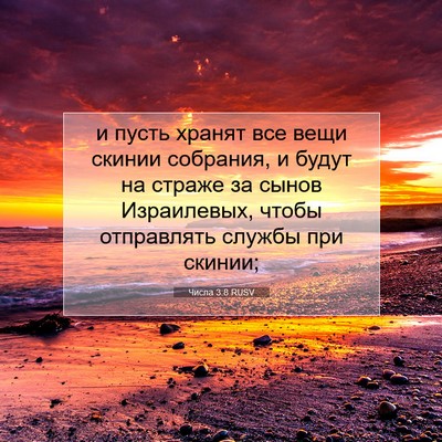 Picture 07 - Числа 3:8 RUSV - и пусть хранят все вещи - Bible Verse Picture