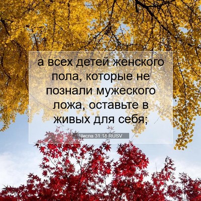 Picture 07 - Числа 31:18 RUSV - а всех детей женского пола, - Bible Verse Picture