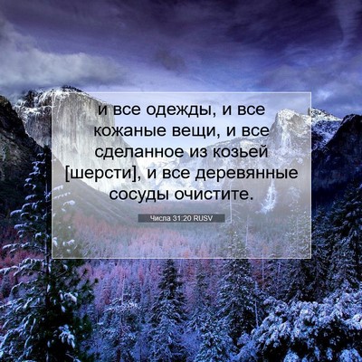Picture 07 - Числа 31:20 RUSV - и все одежды, и все кожаные - Bible Verse Picture