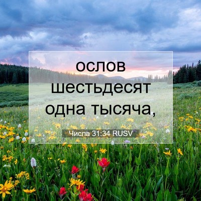 Picture 07 - Числа 31:34 RUSV - ослов шестьдесят одна - Bible Verse Picture
