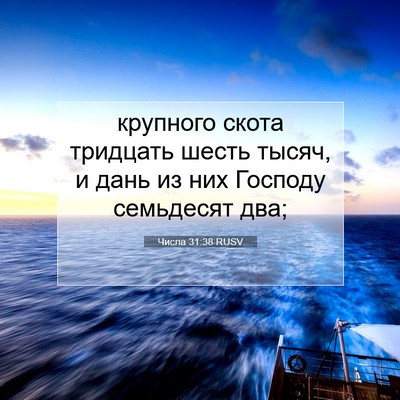 Picture 07 - Числа 31:38 RUSV - крупного скота тридцать - Bible Verse Picture