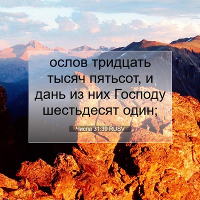 Picture 07 - Числа 31:39 RUSV - ослов тридцать тысяч - Bible Verse Picture