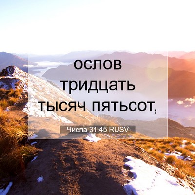 Picture 07 - Числа 31:45 RUSV - ослов тридцать тысяч - Bible Verse Picture