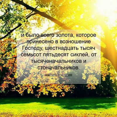 Picture 07 - Числа 31:52 RUSV - и было всего золота, - Bible Verse Picture