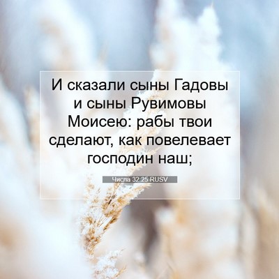 Picture 07 - Числа 32:25 RUSV - И сказали сыны Гадовы и - Bible Verse Picture