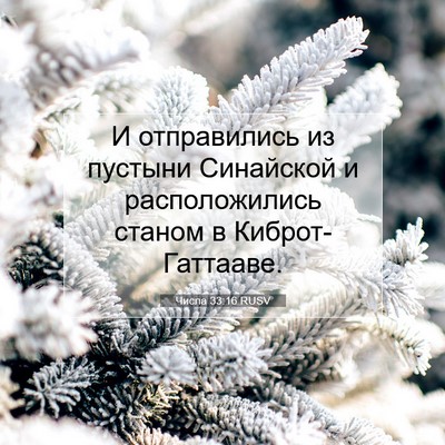 Picture 07 - Числа 33:16 RUSV - И отправились из пустыни - Bible Verse Picture