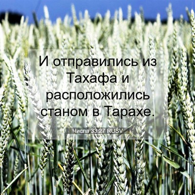 Picture 07 - Числа 33:27 RUSV - И отправились из Тахафа и - Bible Verse Picture