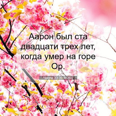 Picture 07 - Числа 33:39 RUSV - Аарон был ста двадцати - Bible Verse Picture