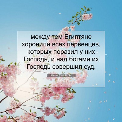 Picture 07 - Числа 33:4 RUSV - между тем Египтяне - Bible Verse Picture