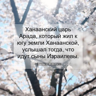 Picture 07 - Числа 33:40 RUSV - Ханаанский царь Арада, - Bible Verse Picture