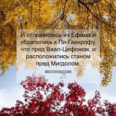 Picture 07 - Числа 33:7 RUSV - И отправились из Ефама и - Bible Verse Picture